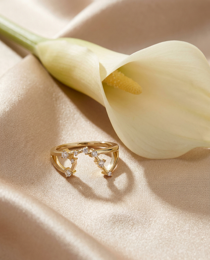 Aquarius Constellation Ring