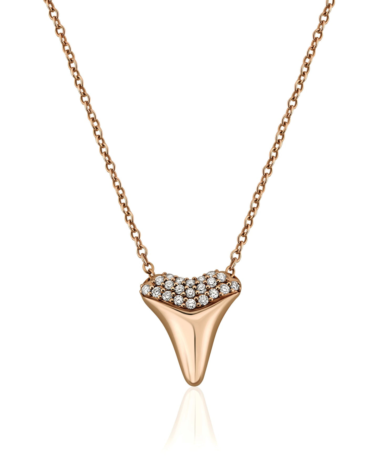 Aura Sharktooth Necklace