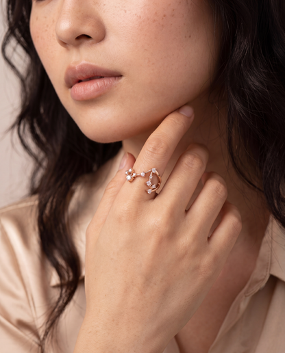 Pisces Constellation Ring
