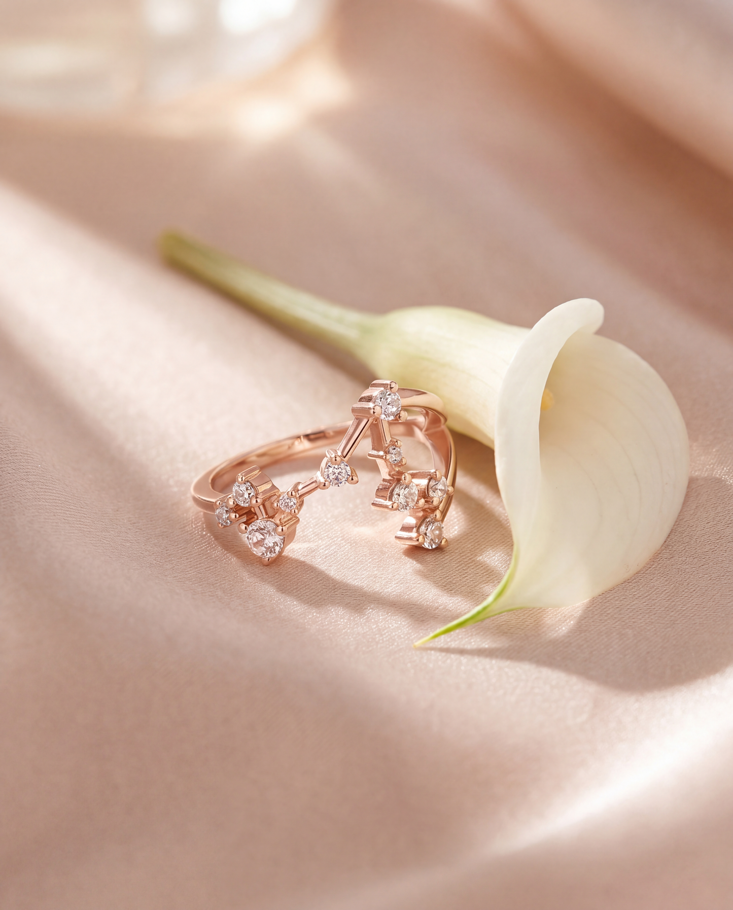 Pisces Constellation Ring